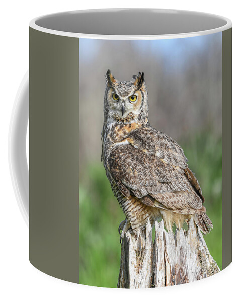 Ontario Coffee Mug featuring the photograph Horny... by Ian Sempowski