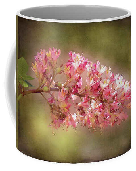 Chestnut Coffee Mug featuring the photograph Horse Chestnut Branch by Leslie Montgomery