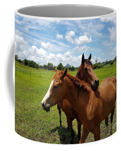 Horses Coffee Mug featuring the photograph Horse Cuddles by Cassy Allsworth