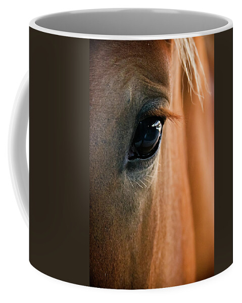 3scape Photos Coffee Mug featuring the photograph Horse Eye by Adam Romanowicz