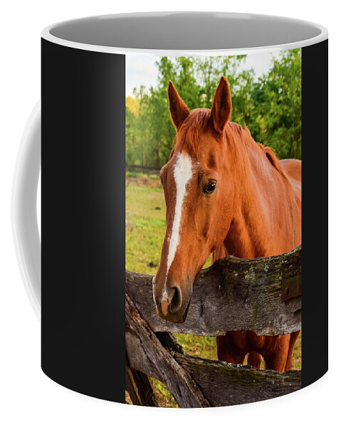 Horse Coffee Mug featuring the photograph Horse Friends by Nicole Lloyd