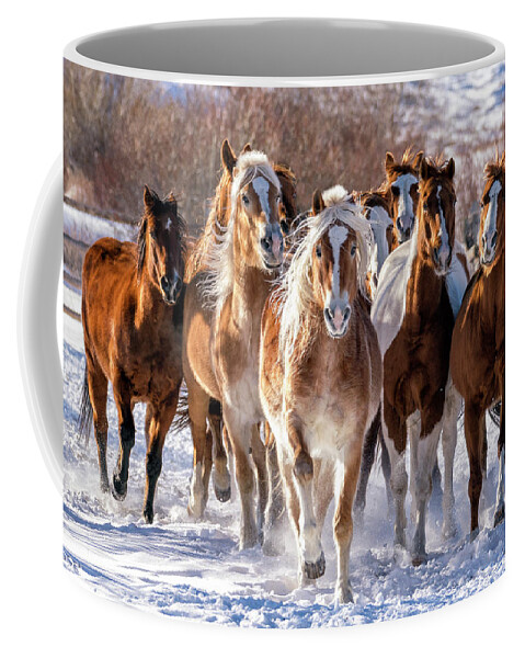 Horses Coffee Mug featuring the photograph Horse Herd in Snow by David Soldano