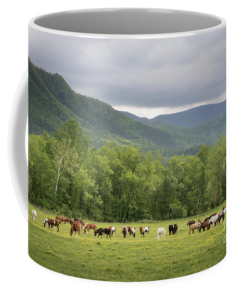 Horses Coffee Mug featuring the photograph Horses Abound by Andrea Silies