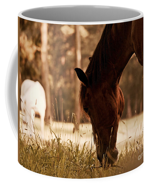Horses Coffee Mug featuring the photograph Horses Graze in the Evening by Rachel Morrison