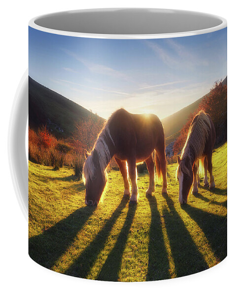 Horse Coffee Mug featuring the photograph Horses in Austigarmin by Mikel Martinez de Osaba