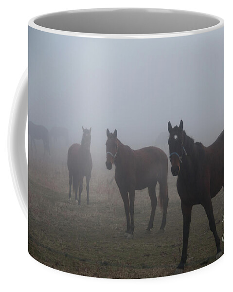 Horse Coffee Mug featuring the photograph Horses in the Fog by David Arment
