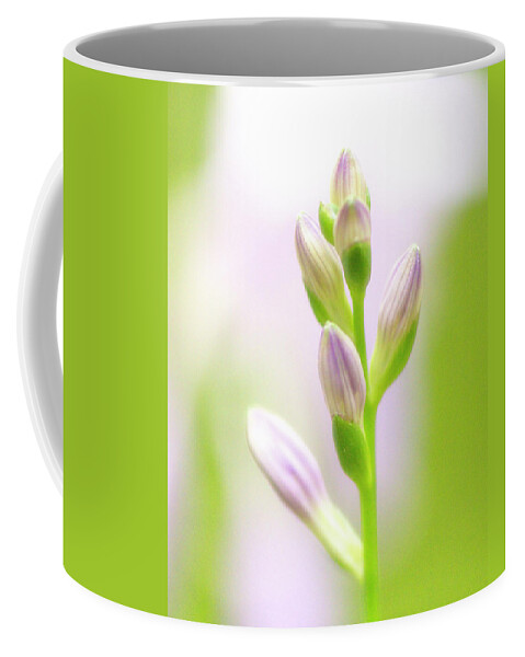 Soft Coffee Mug featuring the photograph Hosta flower by Karen Smale
