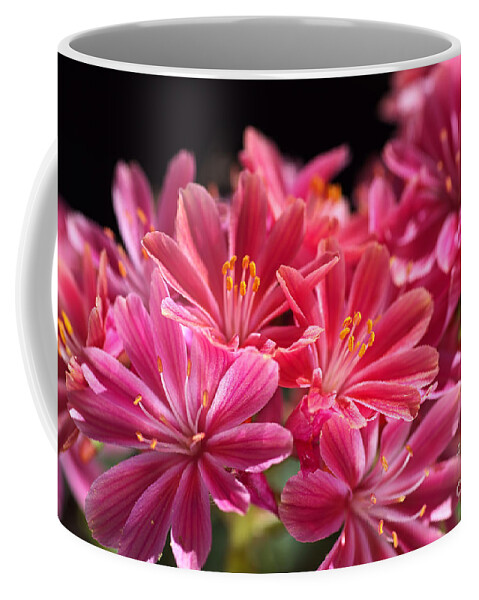 Joy Watson Coffee Mug featuring the photograph Hot Glowing Pink Delight Of Flowers by Joy Watson