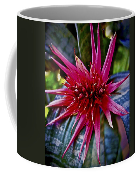 Pink Flower Coffee Mug featuring the photograph Hot Pink Flower by Joan Reese