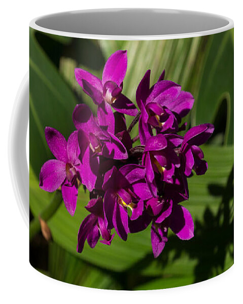 Hot Pink Coffee Mug featuring the photograph Hot Pink Orchids - Exotic Tropical Shadows by Georgia Mizuleva