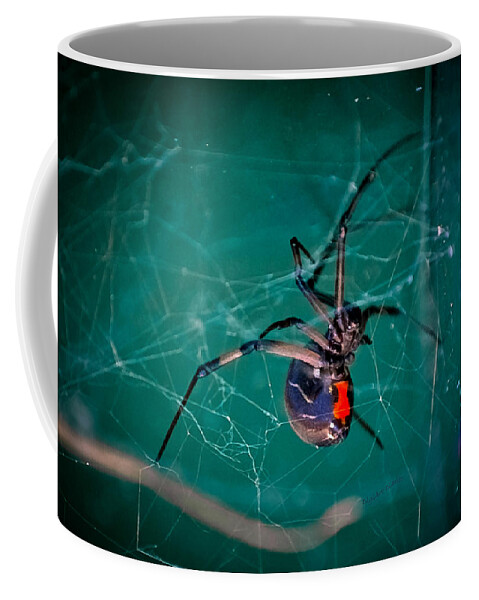 Brown Widow Coffee Mug featuring the photograph Hour Glass of Death by DigiArt Diaries by Vicky B Fuller