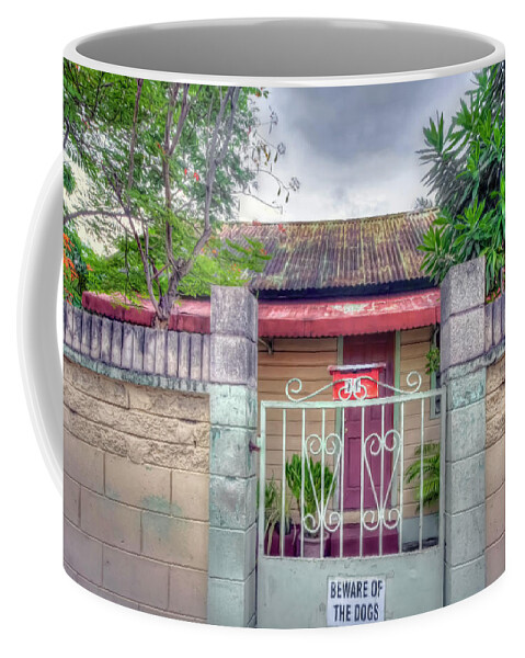  Coffee Mug featuring the photograph House # 71 by Nadia Sanowar