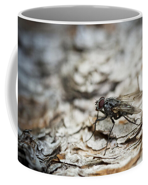 Fly Coffee Mug featuring the photograph House Fly by Chevy Fleet