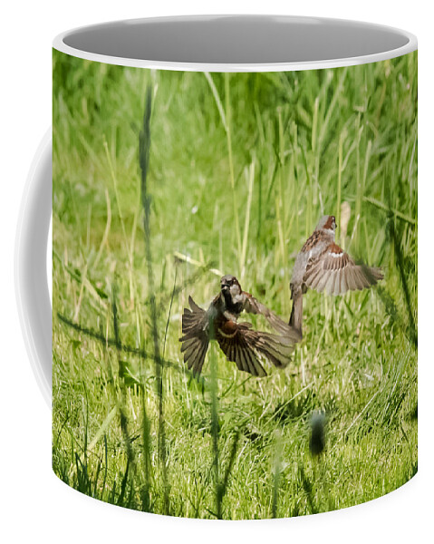 House Sparrows Coffee Mug featuring the photograph House Sparrows in Flight by Holden The Moment
