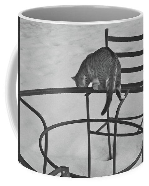 Lawn Furniture Coffee Mug featuring the photograph Housesitting 18 by George Ramos