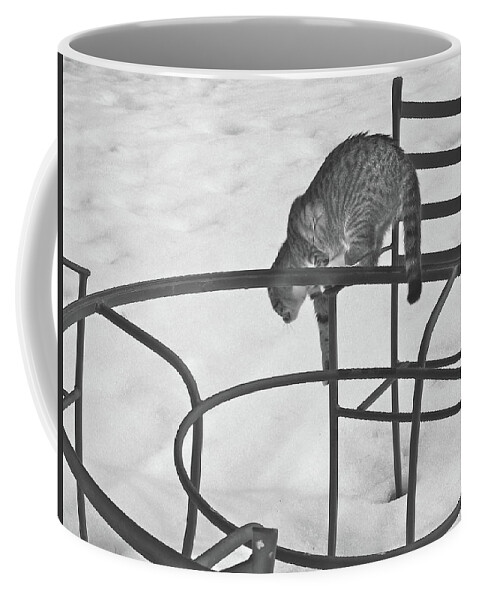 Lawn Furniture Coffee Mug featuring the photograph Housesitting 19 by George Ramos