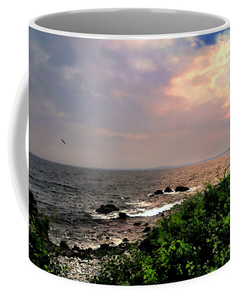 Maine Coffee Mug featuring the photograph How Does It Feel by Diana Angstadt