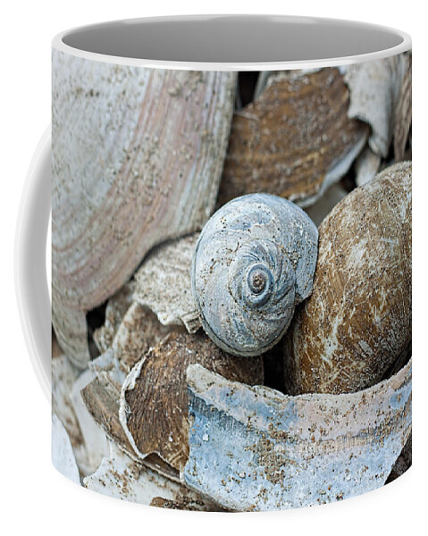Blue Coffee Mug featuring the photograph Hues of Blue by Theresa Johnson