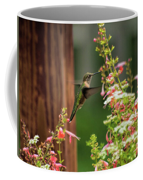 Hummingbird Coffee Mug featuring the photograph Hum 2 by Alana Thrower