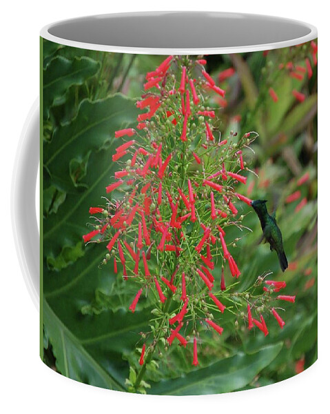 Alabama Photographer Coffee Mug featuring the digital art Humming Bird and Red Flowers by Michael Thomas