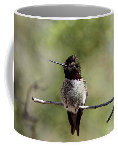 Hummingbird Coffee Mug featuring the photograph Hummingbird - 5 by Christy Pooschke