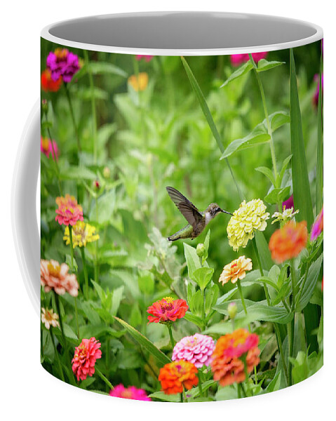Hummingbird Coffee Mug featuring the photograph Hummingbird by Deborah Penland