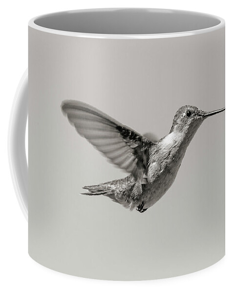 Hummingbird Coffee Mug featuring the photograph Hummingbird in Black and White by Betsy Knapp