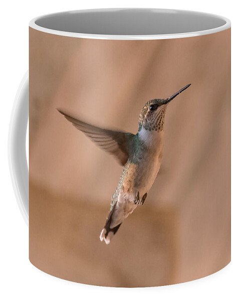 Hummingbird Coffee Mug featuring the photograph Hummingbird In Flight by Holden The Moment