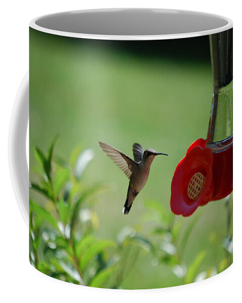 Hummingbird Coffee Mug featuring the photograph Hummingbird in Flight by Lori Tambakis