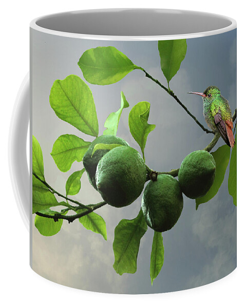 Fruit Coffee Mug featuring the digital art Hummingbird in LIme Tree by M Spadecaller