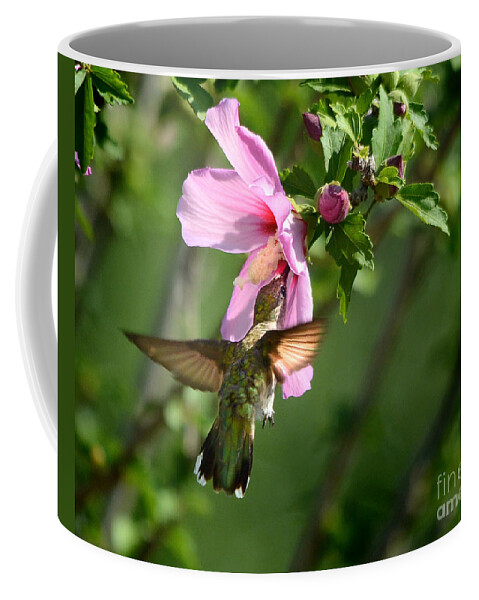 Nature Coffee Mug featuring the photograph Hummingbird In The Garden by Nava Thompson