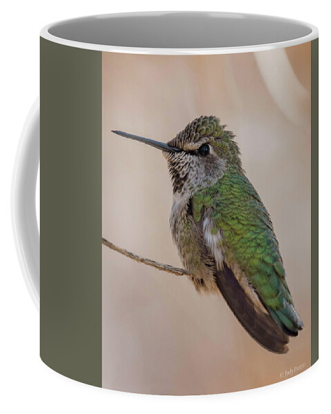 Bird Coffee Mug featuring the photograph Hummingbird Magic by Jody Partin