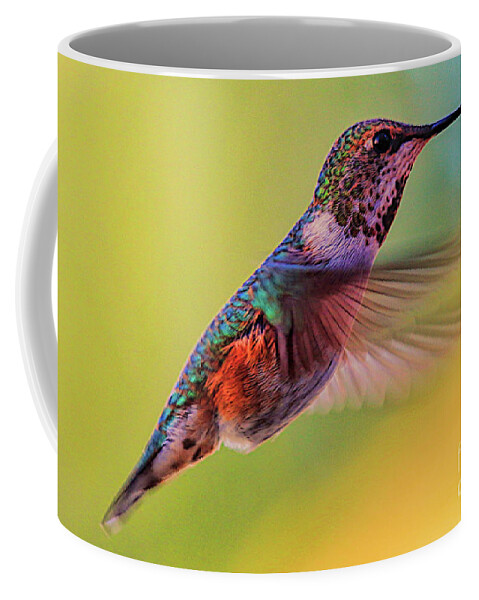 Bird Coffee Mug featuring the photograph Hummingbird by Mark Jackson