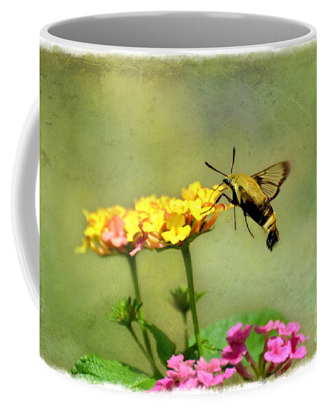 Moth Coffee Mug featuring the photograph Hummingbird Moth 2 by Debbie Portwood