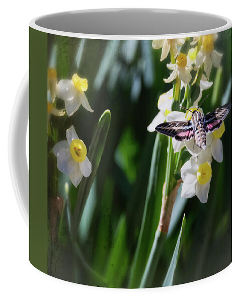 Hummingbird Moth Coffee Mug featuring the photograph Hummingbird Moth on Daffodil by Saija Lehtonen