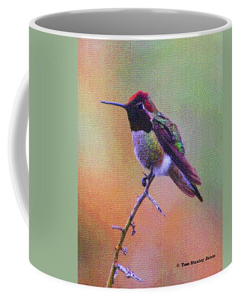 Hummingbird Coffee Mug featuring the photograph Hummingbird On A Stick by Tom Janca