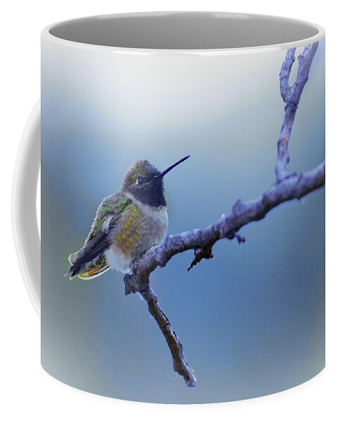 Hummingbird Coffee Mug featuring the photograph Hummingbird11 by Loni Collins