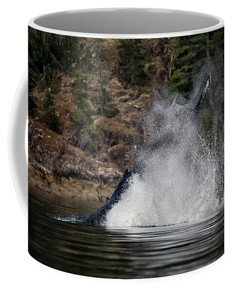 Humpback Whale Coffee Mug featuring the photograph Humpback Headstand by Randy Hall