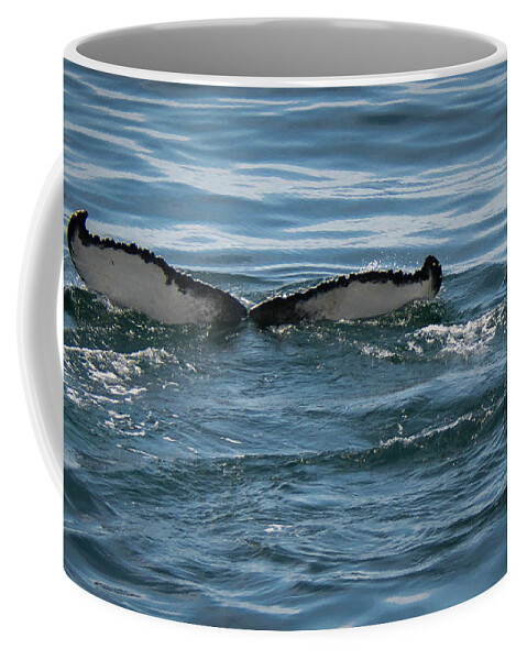Whale Coffee Mug featuring the photograph Humpback Tail Fins by Lorraine Cosgrove