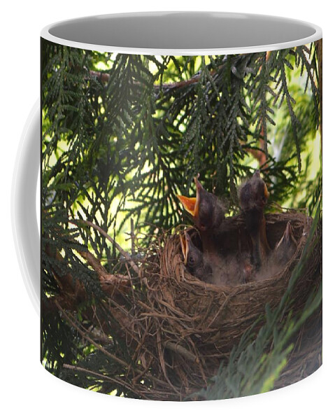 Featured Coffee Mug featuring the photograph Hungry Babies by Stacie Siemsen