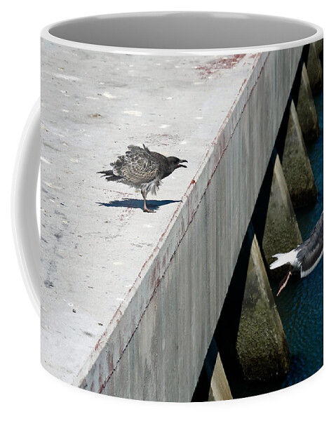 Birds Coffee Mug featuring the photograph Hurry Back Mum by Aidan Moran