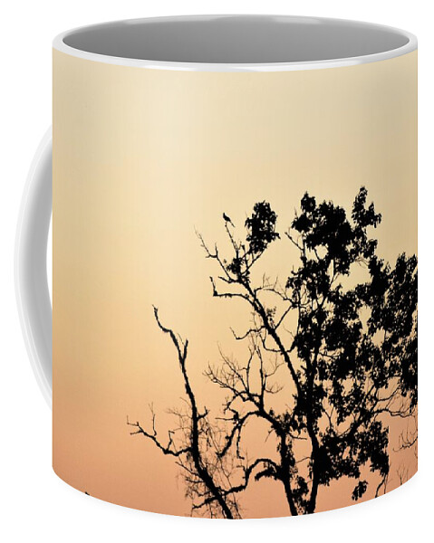 Morning Coffee Mug featuring the photograph Hush Little Baby by John Glass
