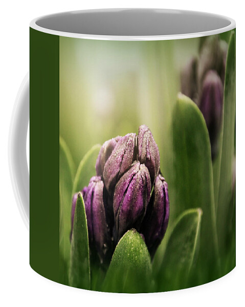 Green Coffee Mug featuring the photograph Hyacinth For Micah by KATIE Vigil