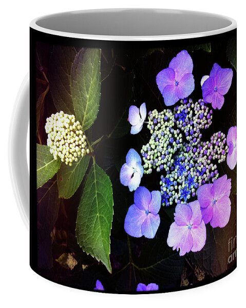 Hydrangea Coffee Mug featuring the photograph Hydrangea Burst by Kevyn Bashore