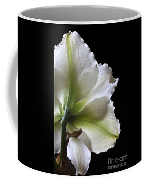Flowers Coffee Mug featuring the photograph I Can Face Tomorrow by Ella Kaye Dickey