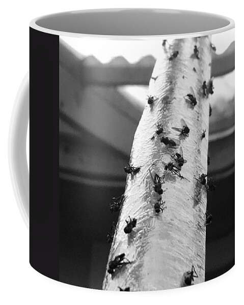 Flywaytoheaven Coffee Mug featuring the photograph I Dunno! I Just Take Pictures That by Jerry Renville