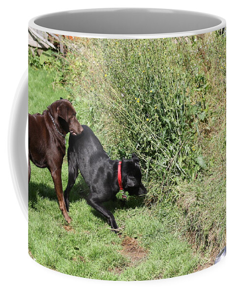 Animals Coffee Mug featuring the photograph I KNOW There's Something In There by Greg DeBeck