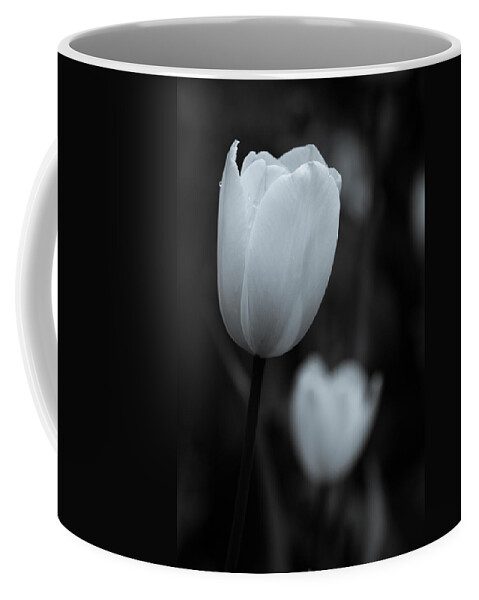 2015 Coffee Mug featuring the photograph I see you by Wade Brooks