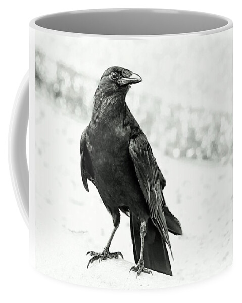 Crow Coffee Mug featuring the photograph I Spy by Stoney Lawrentz