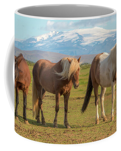 Icelandic Horse Coffee Mug featuring the photograph Icelanders 0639 by Kristina Rinell